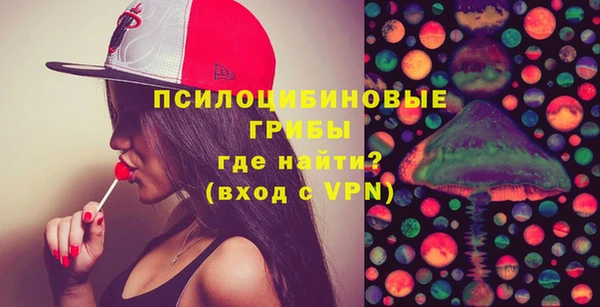 apvp Елабуга