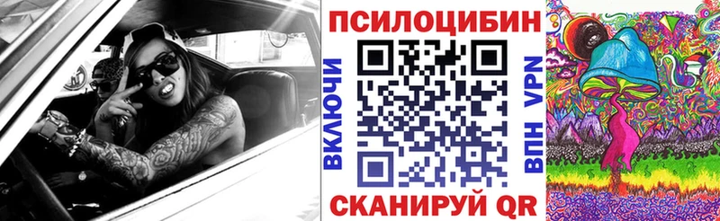 Купить где  Отрадный  Псилоцибиновые грибы Cubensis 